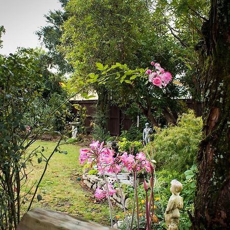 نيلسون Holland House Bed & Breakfast المظهر الخارجي الصورة