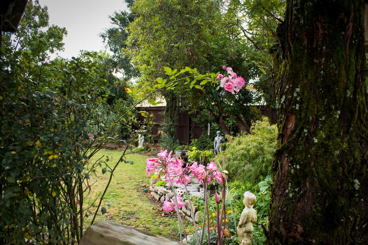 نيلسون Holland House Bed & Breakfast المظهر الخارجي الصورة